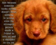 even the strongest people need a friend