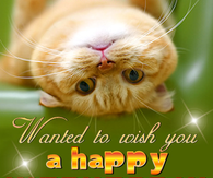 happy wednesday