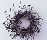 Spiderweb wreath