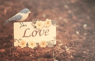 love photo