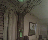 Haunted tree