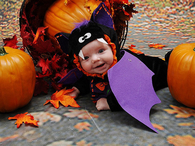 Baby Bat