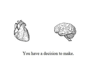 You have a decision to make