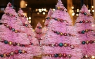 Pink christmas trees