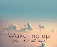 Wake me up when its all over