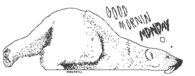 Monday
