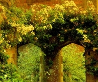 Natural garden