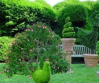 Peacock garden art