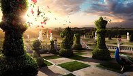 Chess garden
