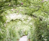 Secret garden