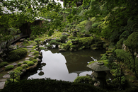 Japanese Garden Pond