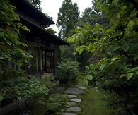 Garden stepping stones