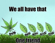 We all have that one friend