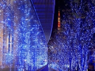 Japan Christmas Tokyo