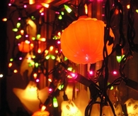Halloween lights and ornaments