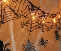 Spider web lights