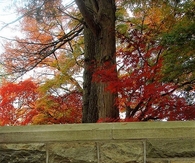 Sleepy hollow cemetery