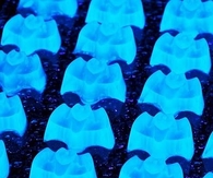 Glow in the dark bats