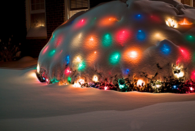 Snow covered christmas lights