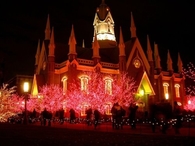 Christmas Light Display at a Mormon Temple