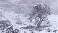 Snow storm