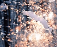 New snow