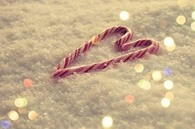 Candy canes in snow