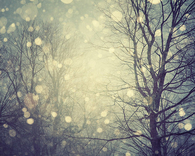 Snow bokeh