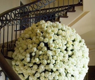 Large white rose bouquet