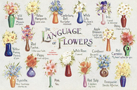 The language of flowers