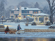 A christmas eve delivery