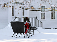 Winter sled