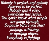 nobody is perfect