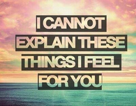 I cannot explain these things i feel for you