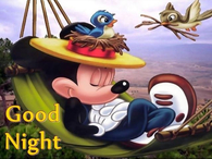 good night