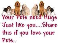 share if you love your pets
