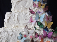 Butterfly party