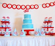 Vintage airplane party