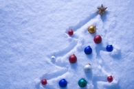 Christmas tree in the snow