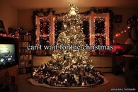 Cant wait for the christmas