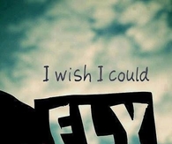 I wish I could fly