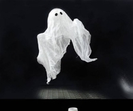 DIY Ghost Home