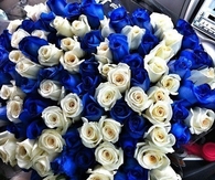 Blue and white roses