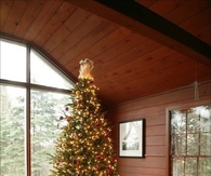 Christmas Tree and gifts