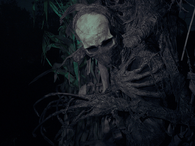 Skeleton tree