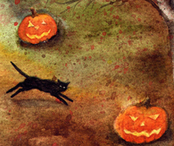 Pumpkins and a black cat