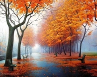 Crispy Nice Place For A Stroll..