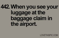 442-luggage