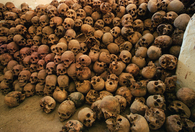 Pile of Skulls