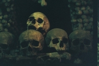 Skulls